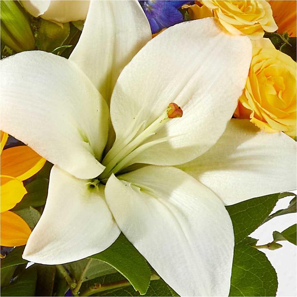 Wonderfully Sunny Bouquet – CHET & LEONA'S FLORAL SHOP, Milwaukee WI