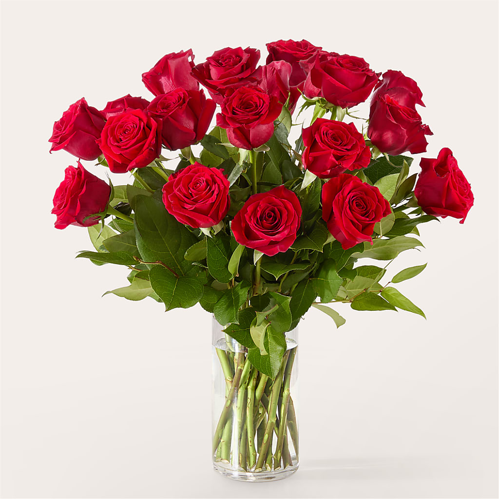 The One Red Rose Bouquet – CHET & LEONA'S FLORAL SHOP, Milwaukee WI