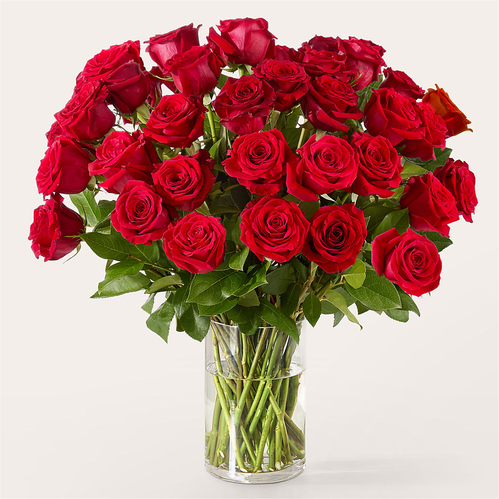 The One Red Rose Bouquet – CHET & LEONA'S FLORAL SHOP, Milwaukee WI
