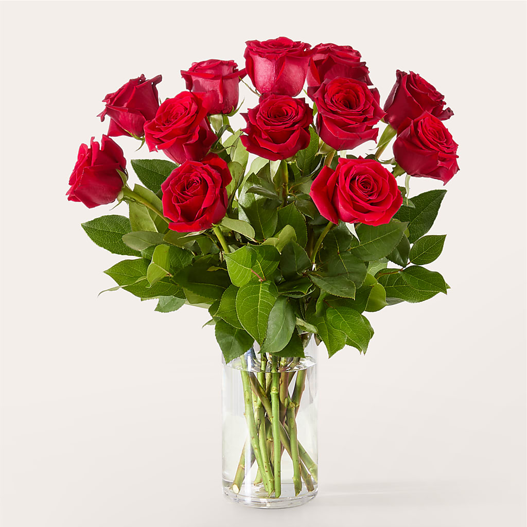 The One Red Rose Bouquet – CHET & LEONA'S FLORAL SHOP, Milwaukee WI
