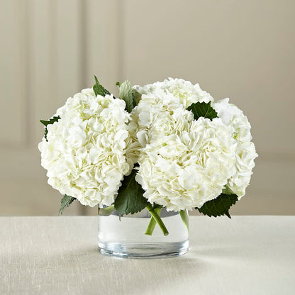 White Hydrangea Bouquet – CHET & LEONA'S FLORAL SHOP, Milwaukee WI