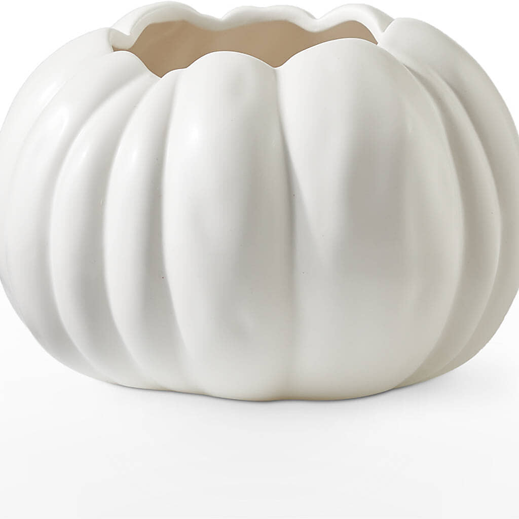 Pumpkin to Talk About Bouquet – CHET & LEONA'S FLORAL SHOP, Milwaukee WI